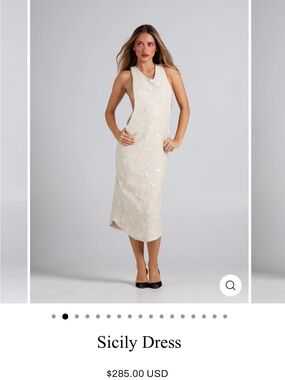Amelie teje Sicily beaded Dress in xs
